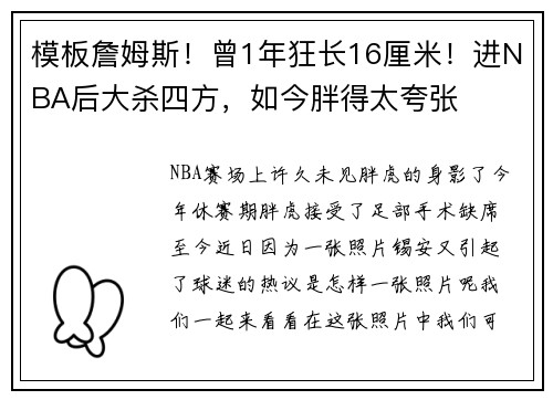 模板詹姆斯！曾1年狂长16厘米！进NBA后大杀四方，如今胖得太夸张