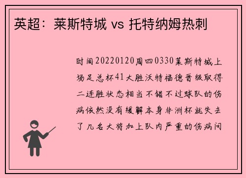 英超：莱斯特城 vs 托特纳姆热刺